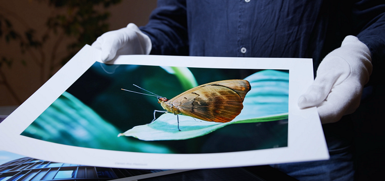 Quick-Tipp: Fotopapiere - ihre Vorteile und Unterschiede