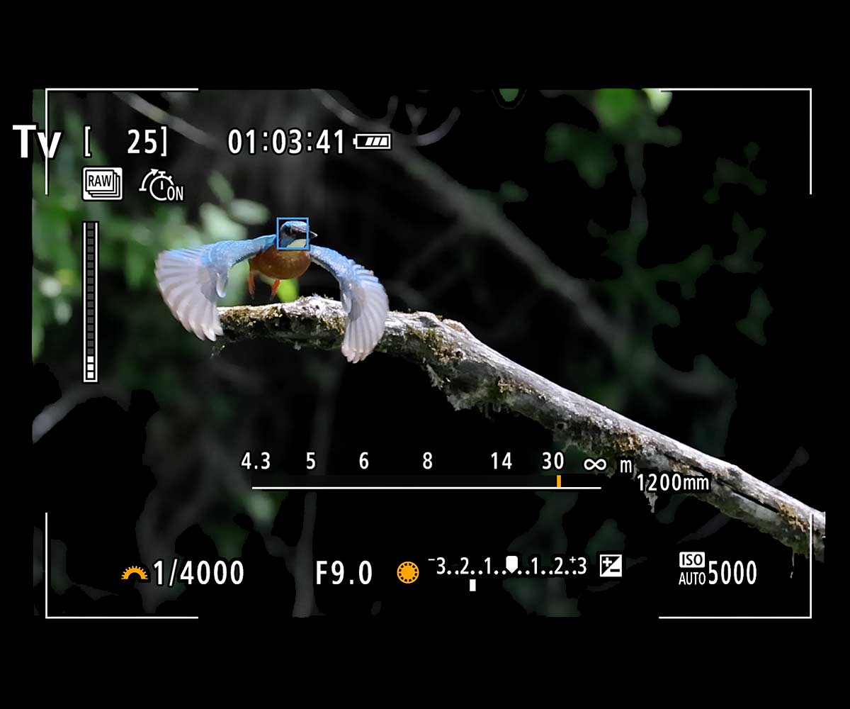 Canon Camera