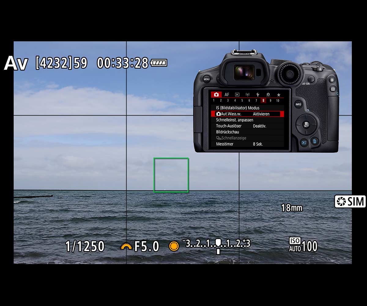 Canon Camera