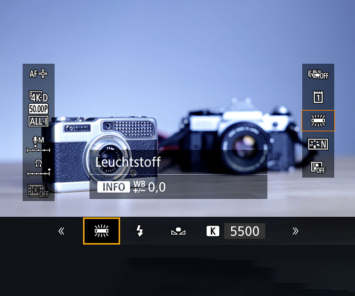 Canon Camera