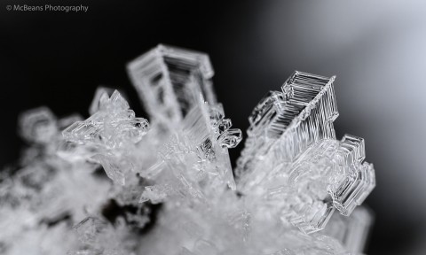 Wettbewerb Gewinner Bild - Canon Academy
