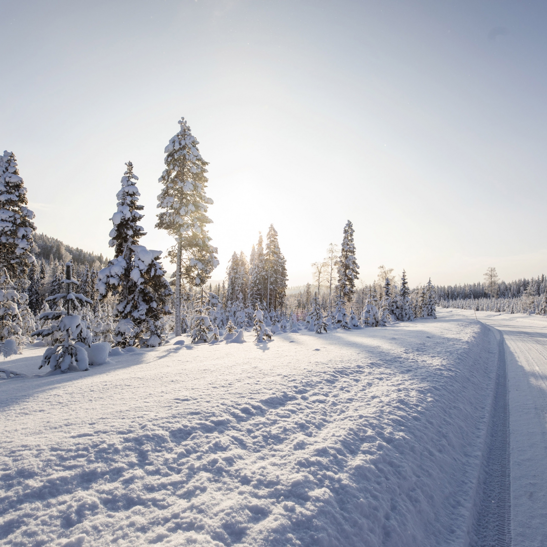 Blende schließen für hohe Schärfentiefe, Winterfotografie