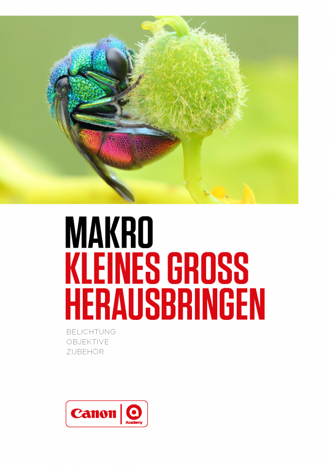 Leitfaden zur Makrofotografie