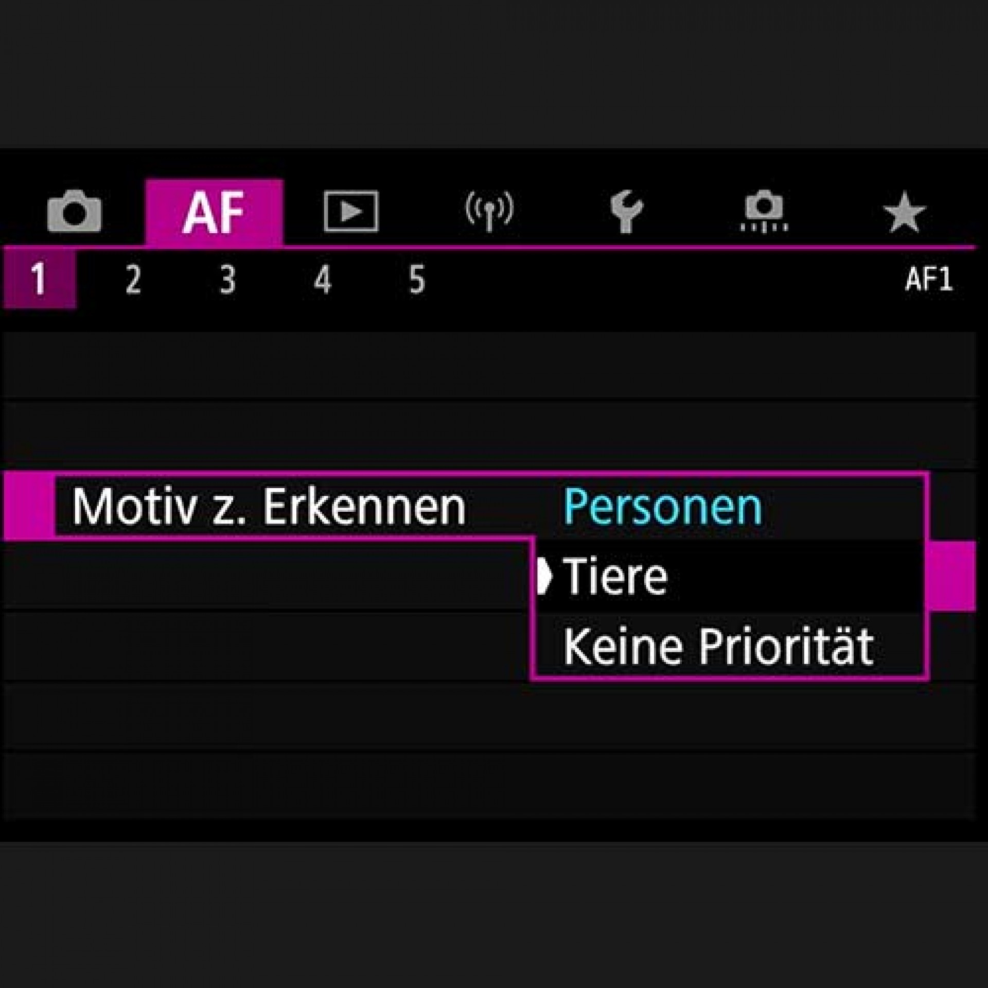 Gesichts- und Augenautofokus von EOS R5 und EOS R6