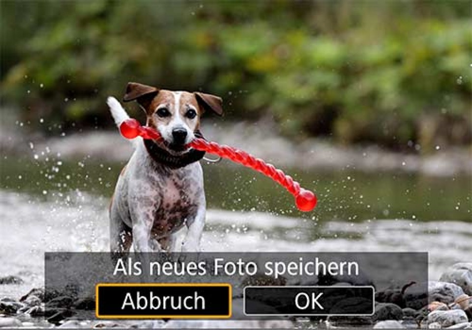 Framegrabbing, Einzelbilder aus Videos, EOS R5, EOS R6