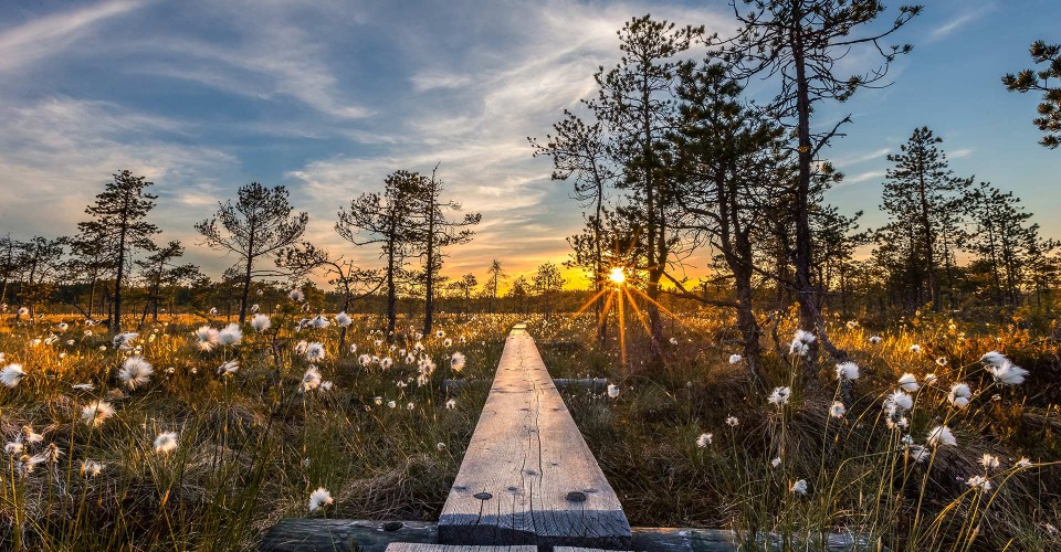 Natur-, Landschafts- und Reisefotografie