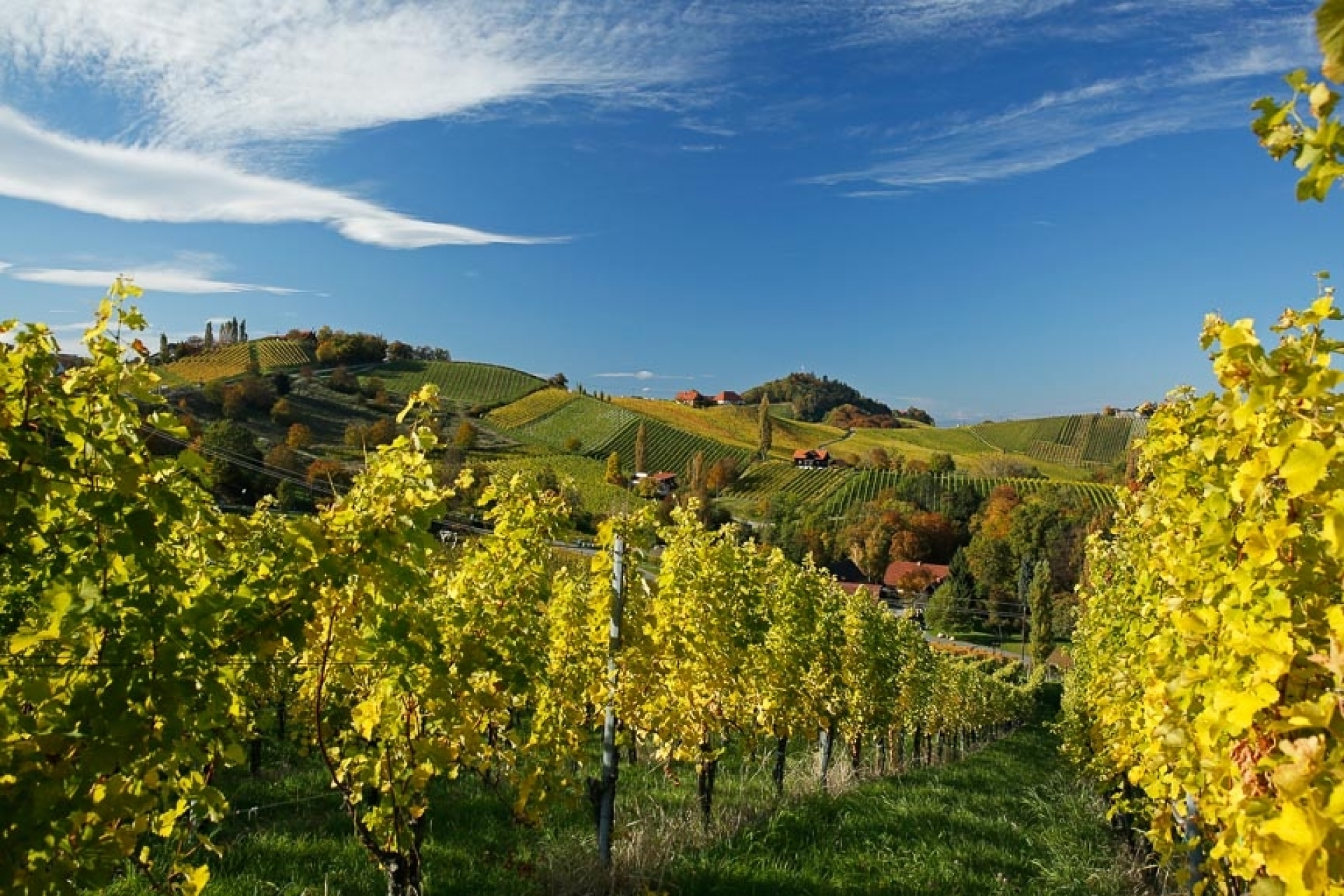 Südsteirische Weinstraße - Canon Academy Spezialthemen